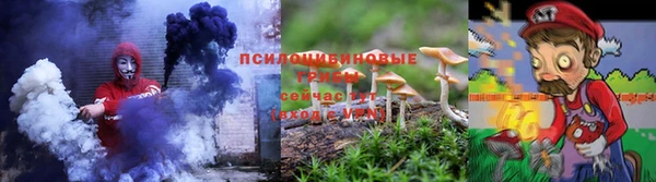 ПСИЛОЦИБИНОВЫЕ ГРИБЫ Балабаново