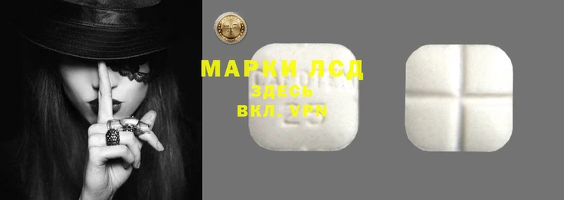ПСИЛОЦИБИНОВЫЕ ГРИБЫ Балабаново