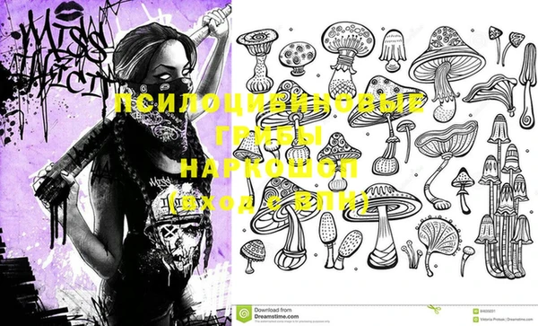 ПСИЛОЦИБИНОВЫЕ ГРИБЫ Балабаново