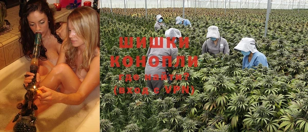 ПСИЛОЦИБИНОВЫЕ ГРИБЫ Балабаново