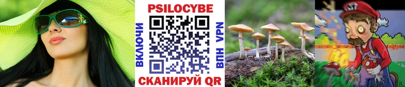 где продают   Магас  Галлюциногенные грибы MAGIC MUSHROOMS 