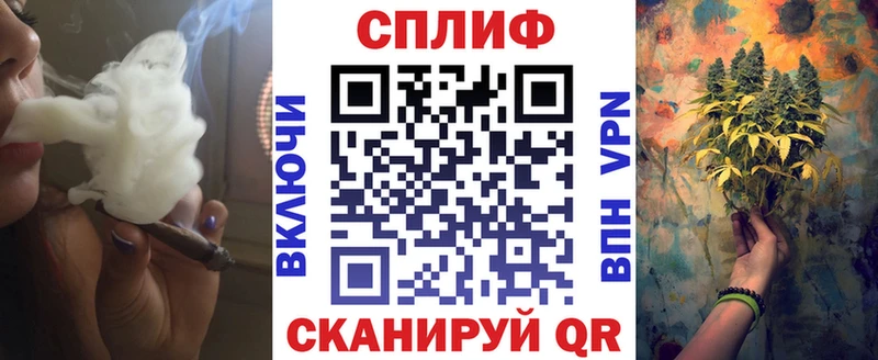 Каннабис семена как найти наркотики Магас